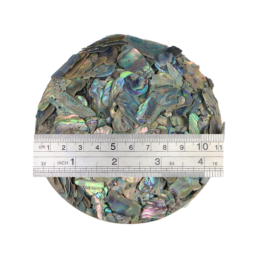TCHP10_2 - 1kg SHELL TERRAZZO CHIP - PAUA - 8-12MM - OCEAN SHELL STUDIOS