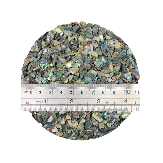 TCHP4_2 - 1kg SHELL TERRAZZO CHIP - PAUA - 3-5MM - OCEAN SHELL STUDIOS
