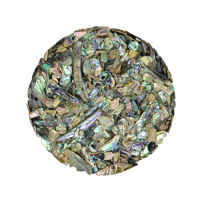 TCHP6 - SHELL TERRAZZO CHIP - PAUA - 5-7MM - OCEAN SHELL STUDIOS