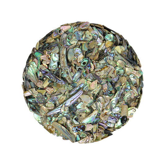TCHP6 - SHELL TERRAZZO CHIP - PAUA - 5-7MM - OCEAN SHELL STUDIOS
