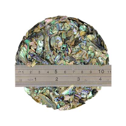TCHP6_2 - 1kg SHELL TERRAZZO CHIP - PAUA - 5-7MM - OCEAN SHELL STUDIOS