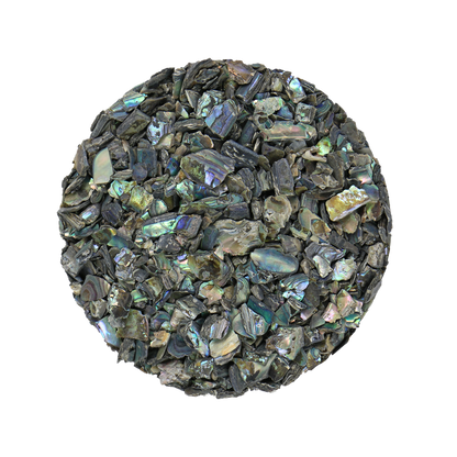 TCHPR - SHELL TERRAZZO CHIP - PAUA RIMS - OCEAN SHELL STUDIOS