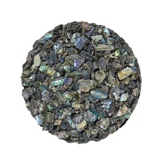 TCHPR - SHELL TERRAZZO CHIP - PAUA RIMS - OCEAN SHELL STUDIOS