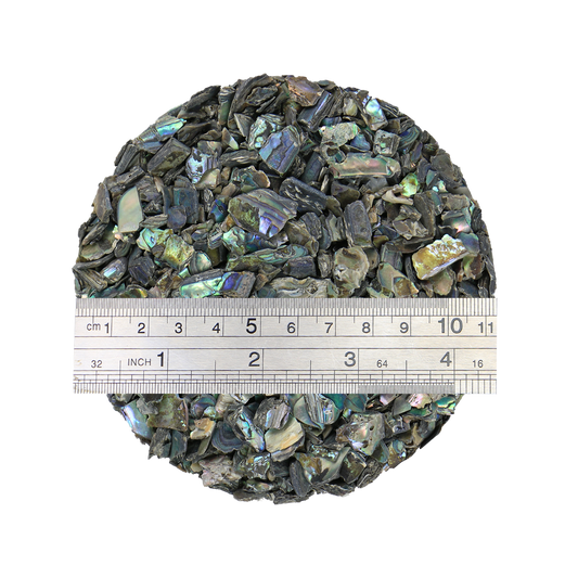 TCHPR_2 - 1kg SHELL TERRAZZO CHIP - PAUA RIMS - OCEAN SHELL STUDIOS