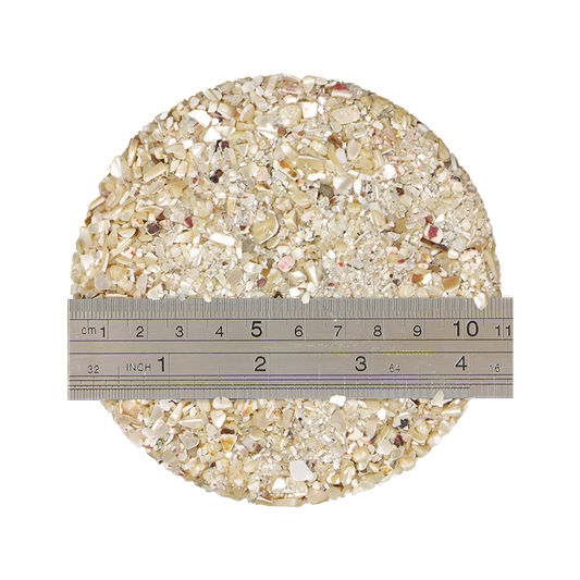 TCHT2_22 - 1kg SHELL TERRAZZO CHIP - TROCHUS 1-4MM - OCEAN SHELL STUDIOS