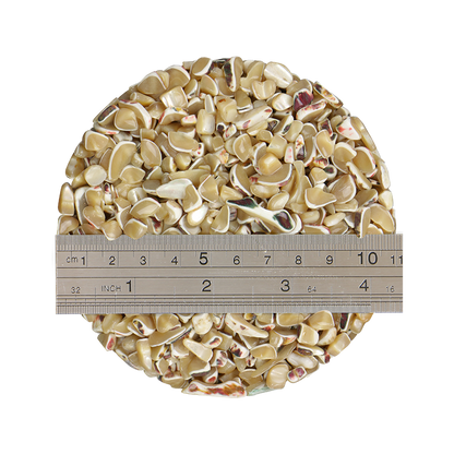 TCHT8_2_db826f82-999f-4397-8127-e551ad12aa6a - 1kg SHELL TERRAZZO CHIP - TROCHUS 5-9MM - OCEAN SHELL STUDIOS