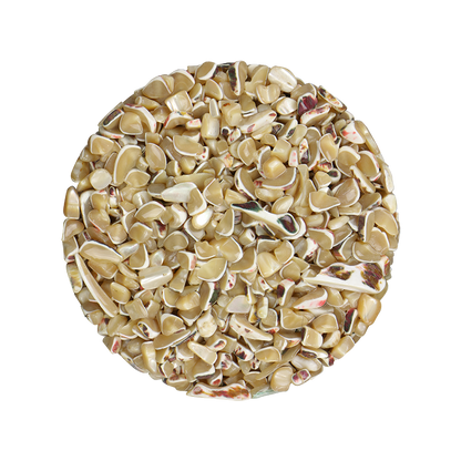 TCHT8_b140501a-71ed-482b-90bf-da05907c09b8 - SHELL TERRAZZO CHIP - TROCHUS 5-9MM - OCEAN SHELL STUDIOS