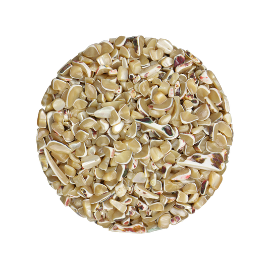 TCHT8_b140501a-71ed-482b-90bf-da05907c09b8 - SHELL TERRAZZO CHIP - TROCHUS 5-9MM - OCEAN SHELL STUDIOS