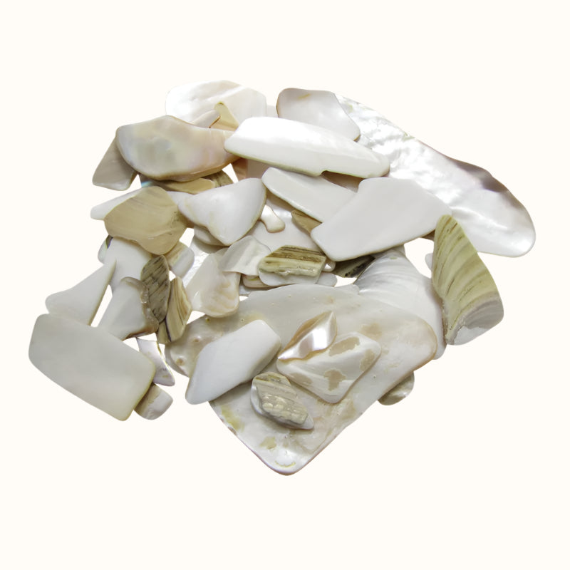 TFWSU - SHELL PIECES F/W MOP SATIN - OCEAN SHELL STUDIOS