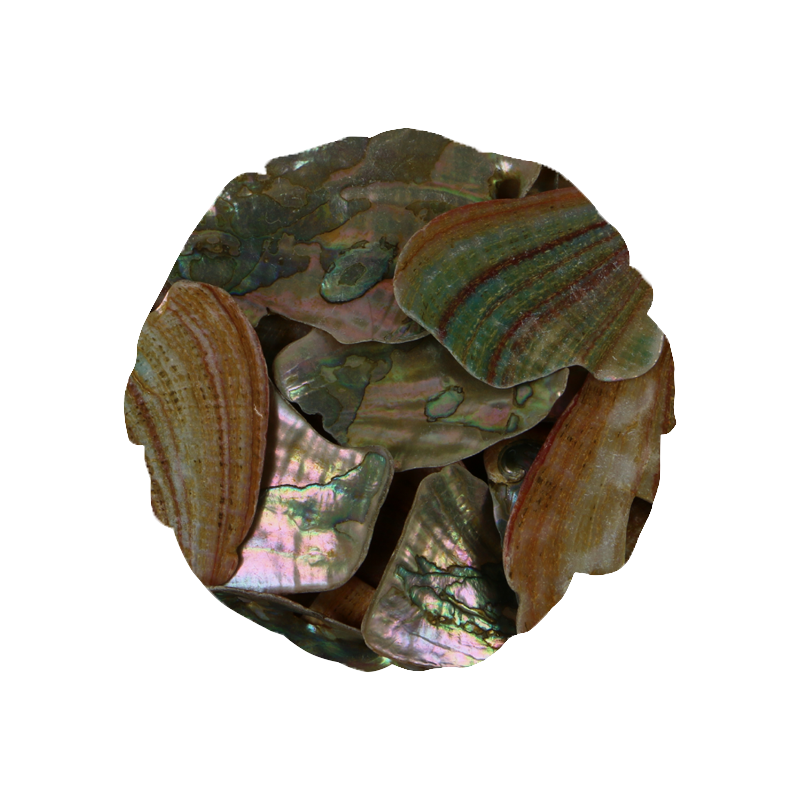TPASM200K_c4acdd18-ba07-4443-be91-e3d7645be815 - PINK ABALONE SATIN LARGE - OCEAN SHELL STUDIOS