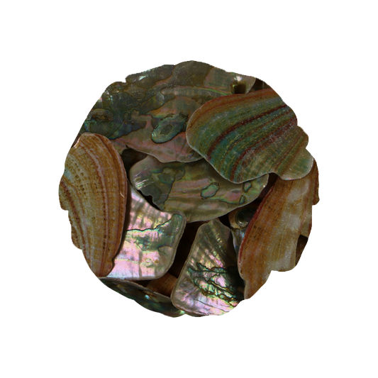 TPASM200K_c4acdd18-ba07-4443-be91-e3d7645be815 - PINK ABALONE SATIN LARGE - OCEAN SHELL STUDIOS