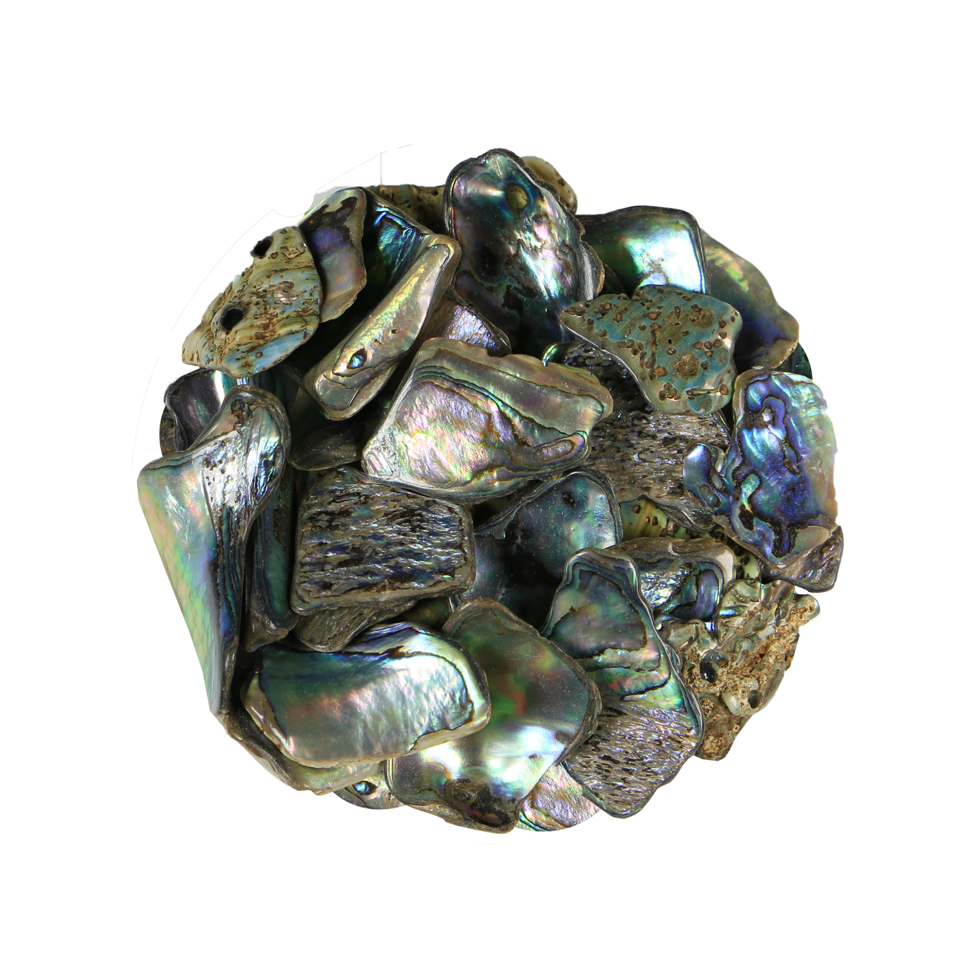 Paua_Chunks - PAUA SATIN CHUNKY LARGE - OCEAN SHELL STUDIOS