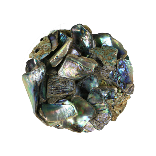 Paua_Chunks - PAUA SATIN CHUNKY LARGE - OCEAN SHELL STUDIOS