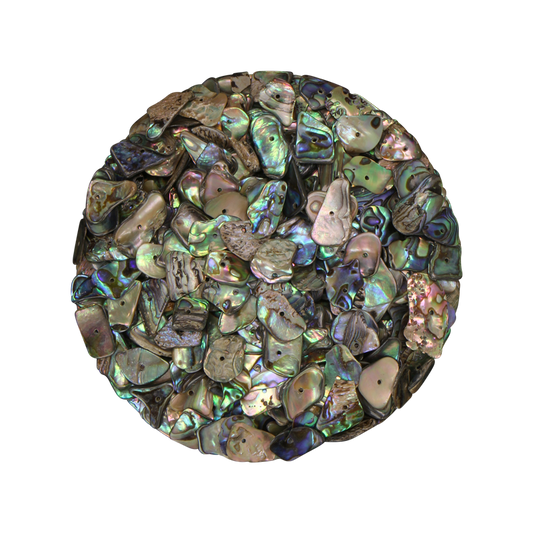 TPGDC10 - PAUA GLOSS DRILLED CENTERED HOLE - 10MM - OCEAN SHELL STUDIOS