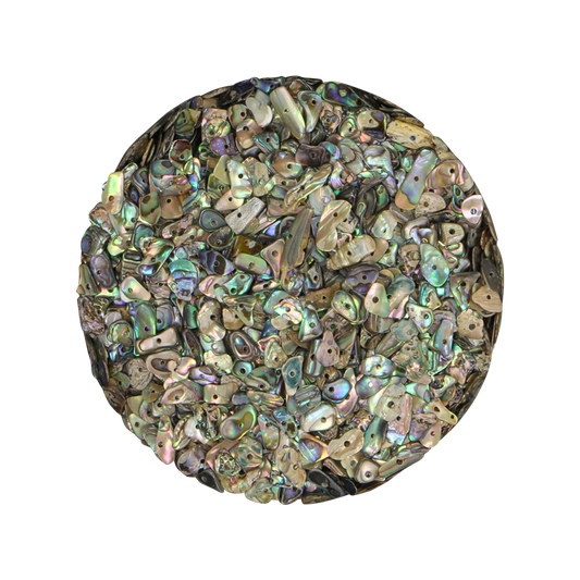 TPGDC6 - PAUA GLOSS DRILLED CENTERED HOLE - 6MM - OCEAN SHELL STUDIOS