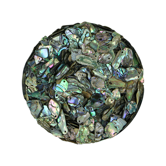 TPGDF200K - PAUA GLOSS DRILLED TOP FINE - OCEAN SHELL STUDIOS