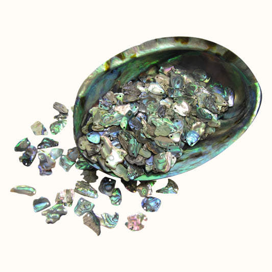 TPGDS_2 - PAUA GLOSS DRILLED TOP SMALL - OCEAN SHELL STUDIOS