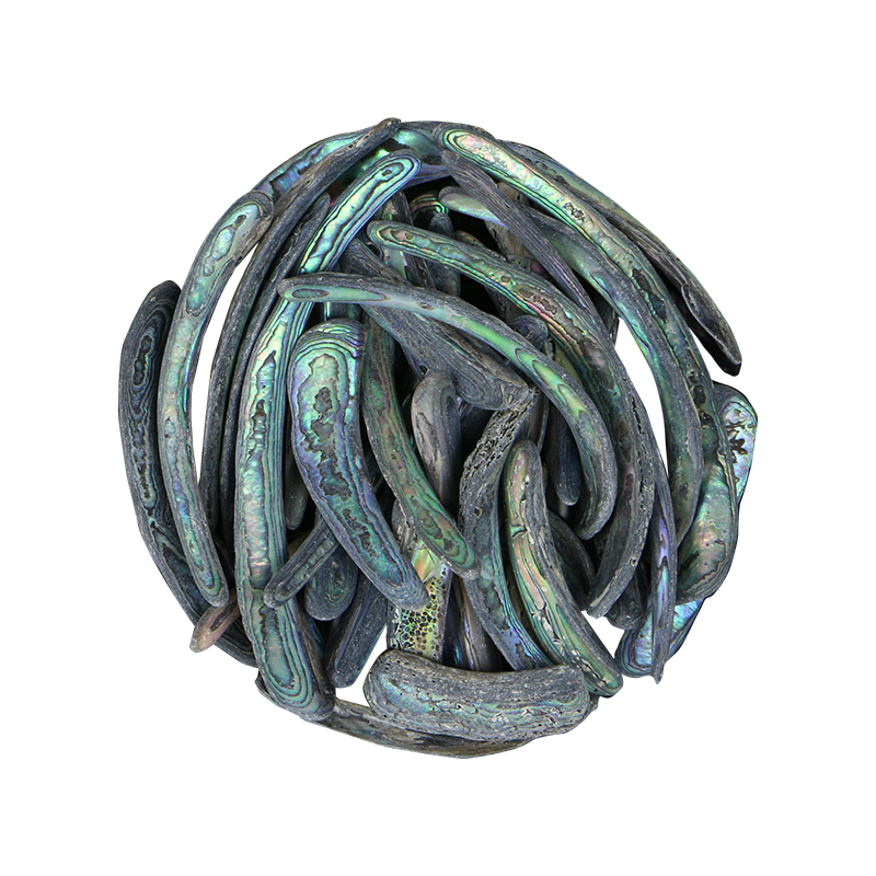 TPNRU - PAUA NATURAL RIMS - OCEAN SHELL STUDIOS