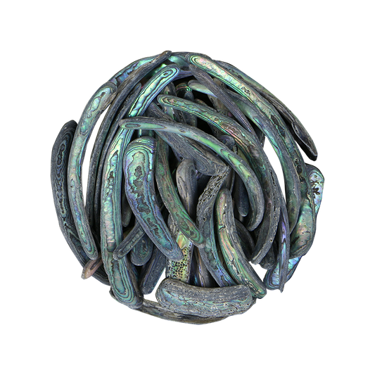TPNRU - PAUA NATURAL RIMS - OCEAN SHELL STUDIOS