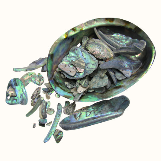 TPNU_2 - PAUA NATURAL UNSORTED - OCEAN SHELL STUDIOS
