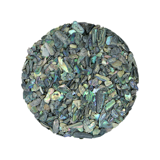 TPNXF - PAUA NATURAL X-FINES - OCEAN SHELL STUDIOS