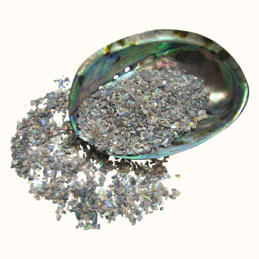 TPNXF_2 - PAUA NATURAL X-FINES - OCEAN SHELL STUDIOS