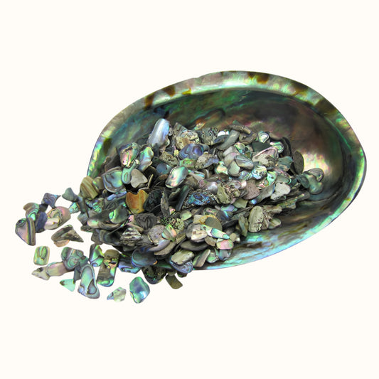 TPSF200K_2 - PAUA SATIN FINES - OCEAN SHELL STUDIOS