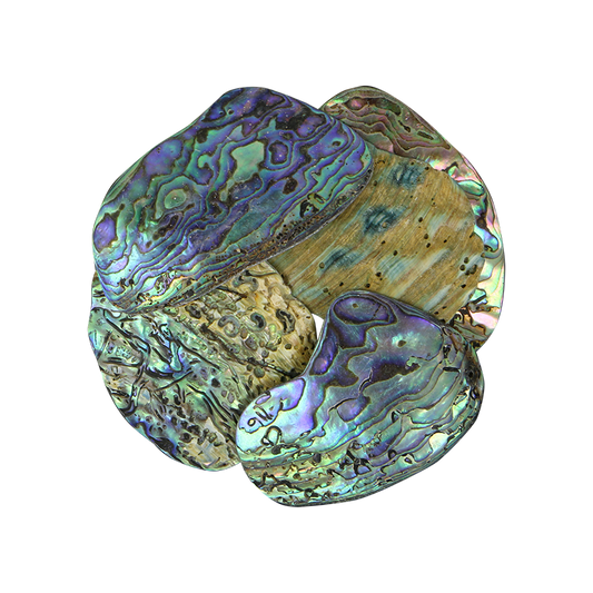 TPSL - PAUA SATIN LARGE - OCEAN SHELL STUDIOS