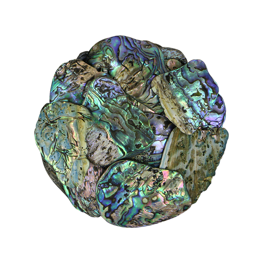TPSM - PAUA SATIN MEDIUM - OCEAN SHELL STUDIOS