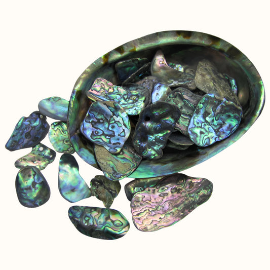 TPSM_2 - PAUA SATIN MEDIUM - OCEAN SHELL STUDIOS