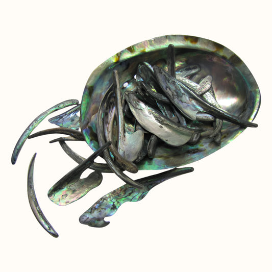 TPSRL - PAUA RIMS LARGE - OCEAN SHELL STUDIOS