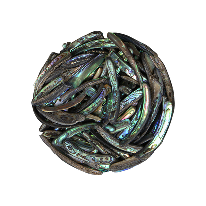 TPSRS_39028df4-a0ce-448c-b3e3-e4b1a2d23db1 - PAUA RIMS SMALL - OCEAN SHELL STUDIOS