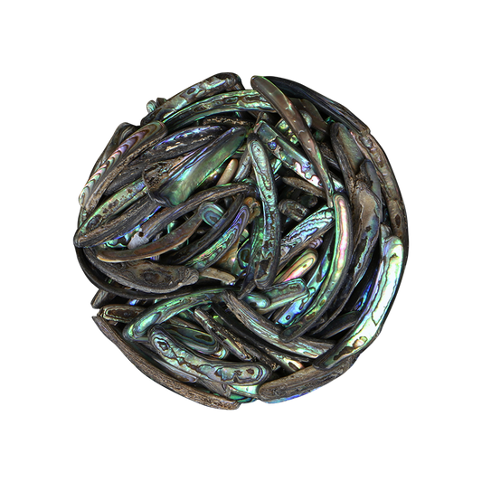 TPSRS_39028df4-a0ce-448c-b3e3-e4b1a2d23db1 - PAUA RIMS SMALL - OCEAN SHELL STUDIOS