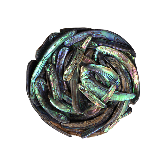 TPSRU - PAUA RIMS UNSORTED - OCEAN SHELL STUDIOS