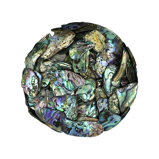 TPSS - PAUA SATIN SMALL - OCEAN SHELL STUDIOS