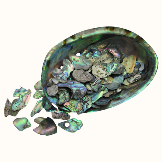 TPSS_2 - PAUA SATIN SMALL - OCEAN SHELL STUDIOS