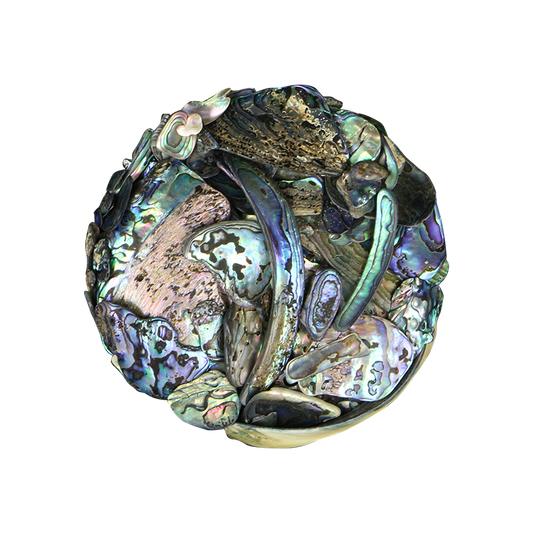 TPSU - PAUA SATIN UNSORTED - OCEAN SHELL STUDIOS