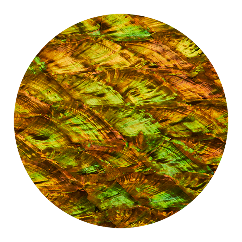 VCAOG200 - RETAIL READY - SHELL VENEER COATED - ABALONE PEARL OLD GOLD - OCEAN SHELL STUDIOS