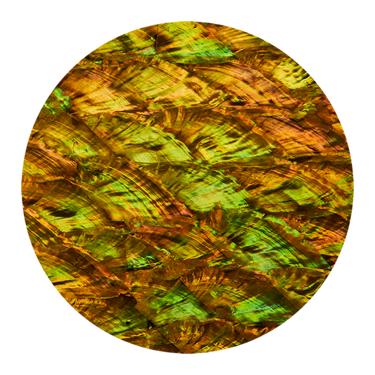 VCAOG200 - RETAIL READY - SHELL VENEER COATED - ABALONE PEARL OLD GOLD - OCEAN SHELL STUDIOS