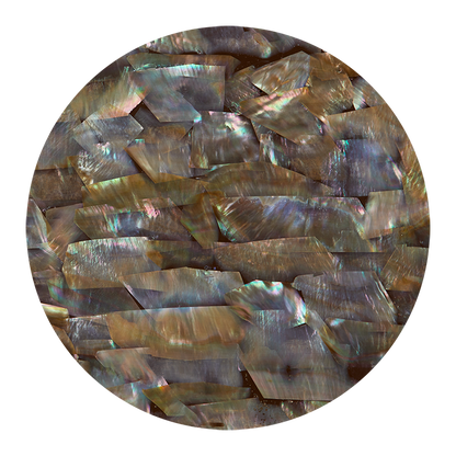 VCO230 - SHELL VENEER COATED - WING OYSTER NATURAL - OCEAN SHELL STUDIOS