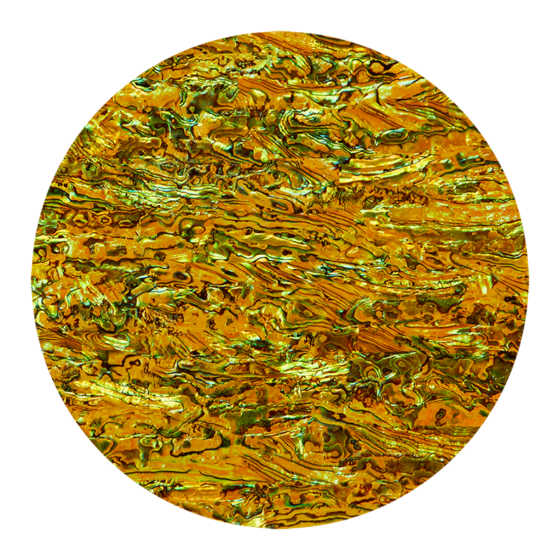 VCPIY200 - RETAIL READY - SHELL VENEER COATED - PAUA IMPERIAL YELLOW - OCEAN SHELL STUDIOS