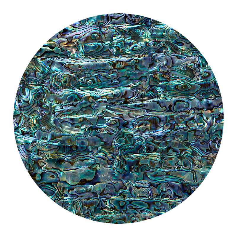 VCPN200 - RETAIL READY - SHELL VENEER COATED - NZ ABALONE PAUA NATURAL - OCEAN SHELL STUDIOS