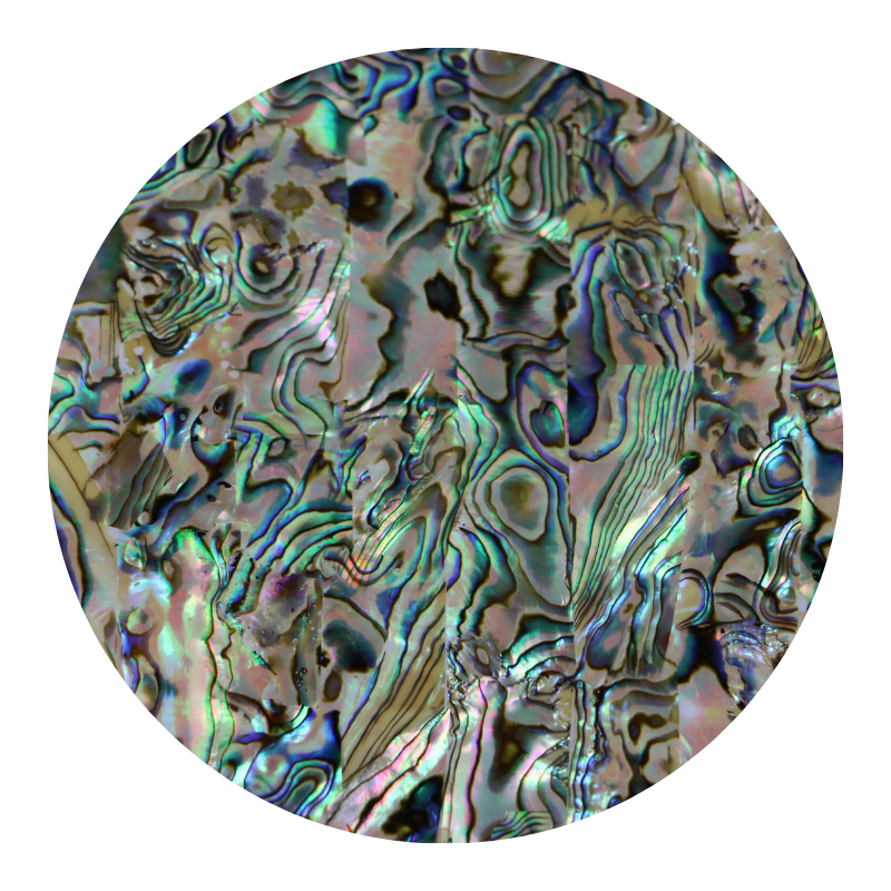 VCPNL230 - SHELL VENEER COATED - PAUA NATURAL LIGHT - OCEAN SHELL STUDIOS