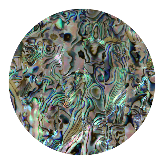 VCPNL230 - SHELL VENEER COATED - PAUA NATURAL LIGHT - OCEAN SHELL STUDIOS