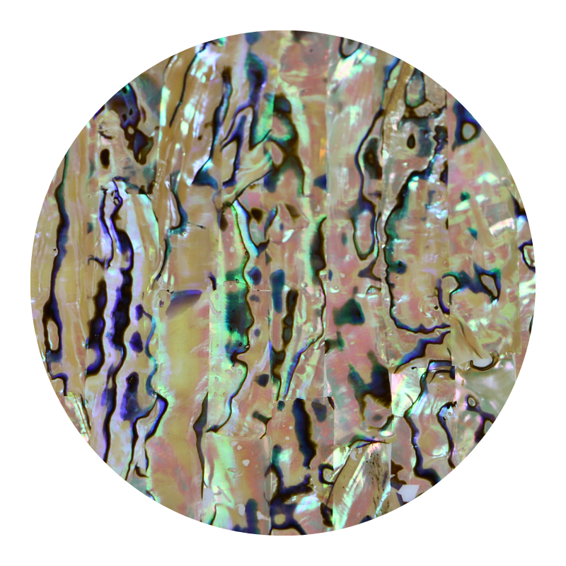 VCPNXL230 - SHELL VENEER COATED - PAUA NATURAL EXTRA LIGHT - OCEAN SHELL STUDIOS