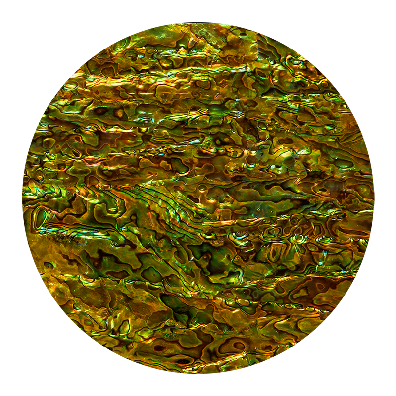 VCPPG200 - RETAIL READY - SHELL VENEER COATED - PAUA PERIDOT GREEN - OCEAN SHELL STUDIOS