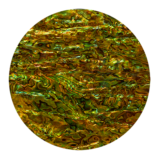 VCPPG200 - RETAIL READY - SHELL VENEER COATED - PAUA PERIDOT GREEN - OCEAN SHELL STUDIOS