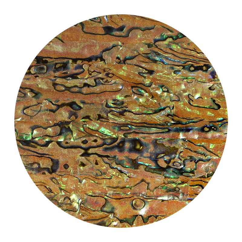 VCPTE200 - SHELL VENEER COATED - PAUA TIGERS EYE - OCEAN SHELL STUDIOS