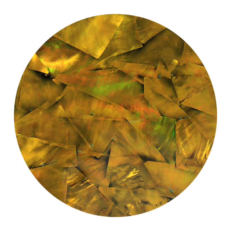 VCWBZ200 - RETAIL READY - SHELL VENEER COATED - WMOP BRONZE - OCEAN SHELL STUDIOS