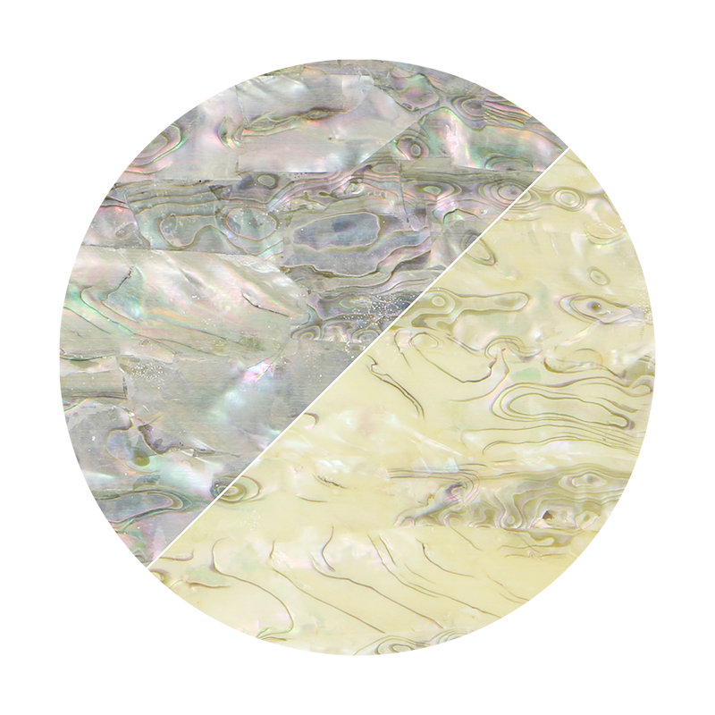VUMGL240_2 - SHELL VENEER UNCOATED - MEXICAN ABALONE GREEN LIGHT - OCEAN SHELL STUDIOS